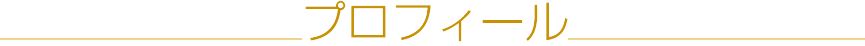 �v���t�B�[��