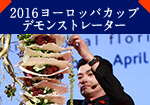 2016���[���b�p�J�b�v �f�����X�g���[�^�[