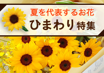 �Ђ܂��