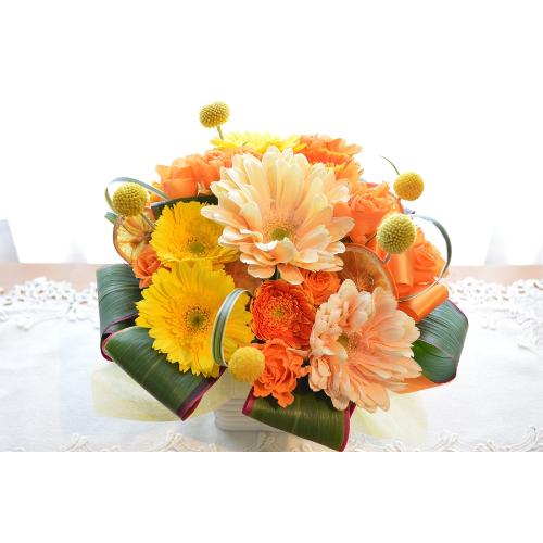 �L���[�g�ȃA�����W�@OrangeLiqueur2