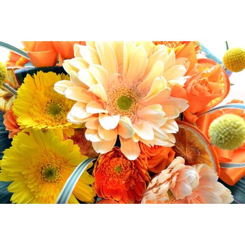 �L���[�g�ȃA�����W�@OrangeLiqueur5