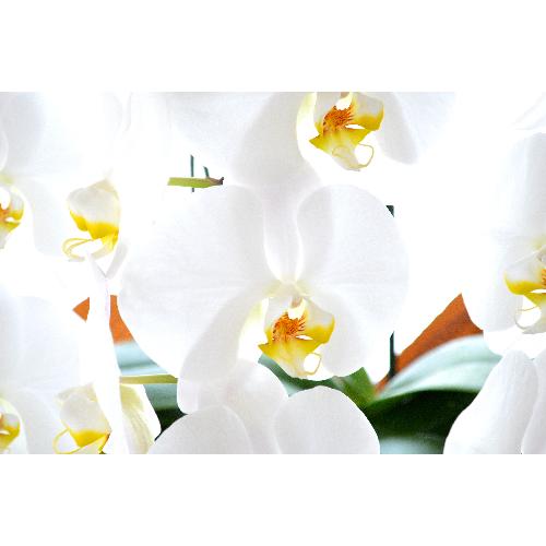 �Ӓ����@���@�R�{���ā@�������p�@�����O�@��c��@�������@�����z�B�@�������A������݁A���~�A���ފ݁A�����A�@���A���ԁA���ʖ�A���ʎ�  ��������3