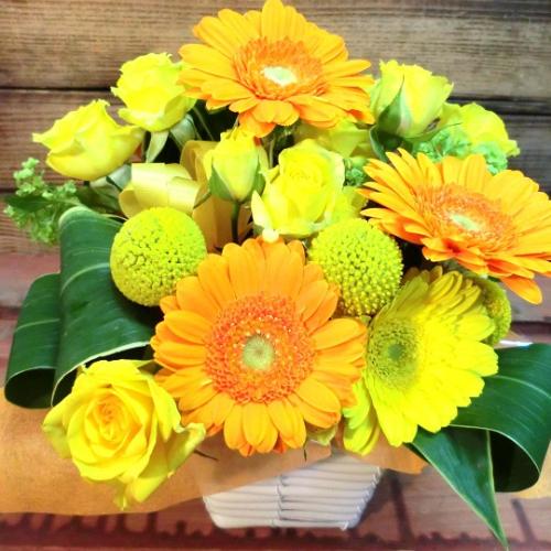 �L���[�g�ȃA�����W�@YellowOrange�@(�K�[�x���̃t�����[�A�����W�����g�j�@�C�G���[�n�@�a�����A�����L�O���A���j���A���\��A�R���T�[�g�A���C�u