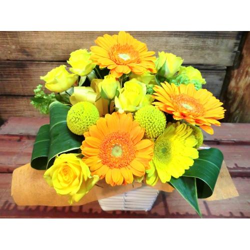 �L���[�g�ȃA�����W�@YellowOrange�@(�K�[�x���̃t�����[�A�����W�����g�j�@�C�G���[�n�@�a�����A�����L�O���A���j���A���\��A�R���T�[�g�A���C�u2