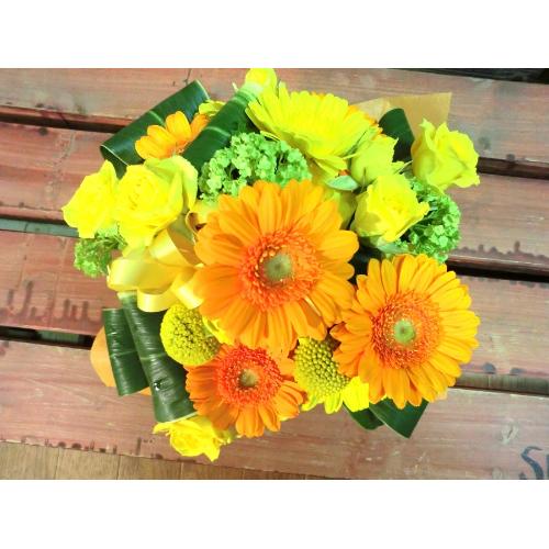 �L���[�g�ȃA�����W�@YellowOrange�@(�K�[�x���̃t�����[�A�����W�����g�j�@�C�G���[�n�@�a�����A�����L�O���A���j���A���\��A�R���T�[�g�A���C�u4