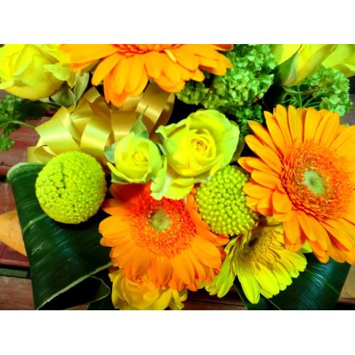 �L���[�g�ȃA�����W�@YellowOrange�@(�K�[�x���̃t�����[�A�����W�����g�j�@�C�G���[�n�@�a�����A�����L�O���A���j���A���\��A�R���T�[�g�A���C�u5