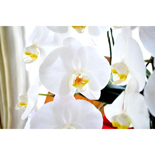 �Ӓ����@���@�R�{���ā@���j���p�@�����O�@��c��@�������@�����z�B�@�J�X�j���A�J�Əj���A���N�j���A�A�C�j���A�ړ]�j��  ��������3