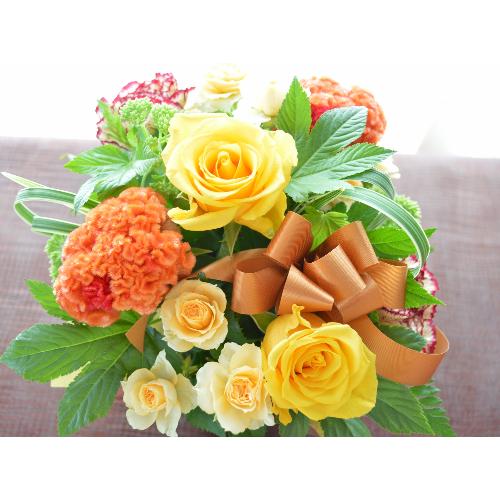 �L���[�g�ȃA�����W�����g�@YellowSense�@(�o���̃t�����[�A�����W�����g�j�@���F�I�����W�n�@�a�����A�����L�O���A���j���A���\��A�R���T�[�g�A���C�u3