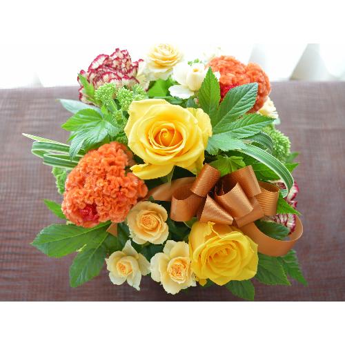 �L���[�g�ȃA�����W�����g�@YellowSense�@(�o���̃t�����[�A�����W�����g�j�@���F�I�����W�n�@�a�����A�����L�O���A���j���A���\��A�R���T�[�g�A���C�u5