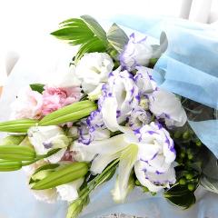 �������p�@�u�[�P�@SkyWalk�@�i�����ƃg���R�L�L���E�̉ԑ��j�@���n�@�������A������݁A���~�A���ފ݁A�����A�@��