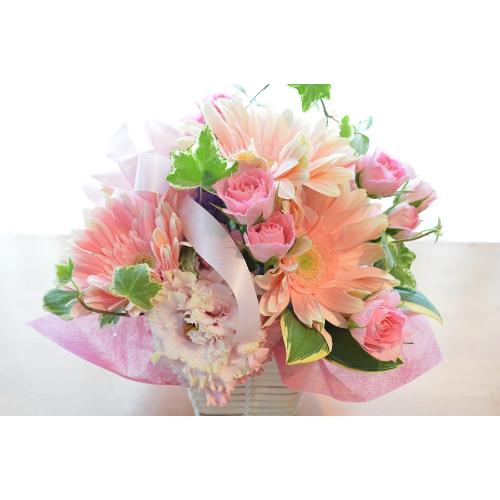 �L���[�g�ȃA�����W�@PurePink�@(�o���ƃK�[�x���̃t�����[�A�����W�����g�j�@�s���N�n�@�a�����A�����L�O���A���j���A���\��A�R���T�[�g�A���C�u2