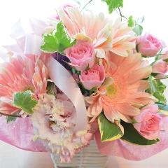 �L���[�g�ȃA�����W�@PurePink�@(�o���ƃK�[�x���̃t�����[�A�����W�����g�j�@�s���N�n�@�a�����A�����L�O���A���j���A���\��A�R���T�[�g�A���C�u