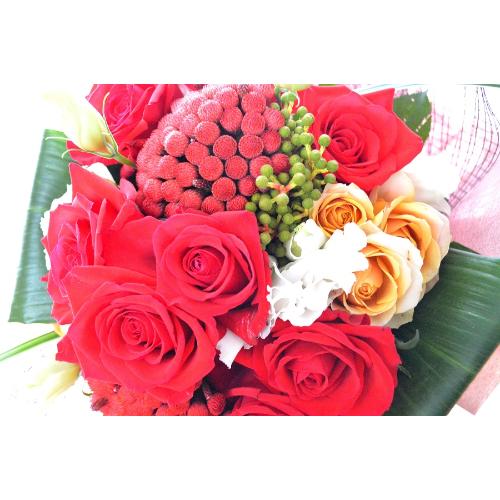 �������A���@�u�[�P�@�v���W�f���g�@�i�o���̉ԑ��j�Ԍn�@�a�����A�����L�O���A���j���A�����}�i���ʁA���}�j�A�ސE�j���A���\��5