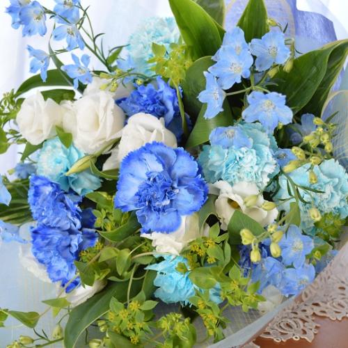 ��l�̃u�[�P�@BlueWhite�@�i�J�[�l�[�V�����̉ԑ��j�u���[�n�@�a�����A�����L�O���A���j���A�����}�i���ʁA���}�j�A�ސE�j���A���\��