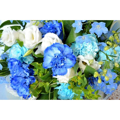 ��l�̃u�[�P�@BlueWhite�@�i�J�[�l�[�V�����̉ԑ��j�u���[�n�@�a�����A�����L�O���A���j���A�����}�i���ʁA���}�j�A�ސE�j���A���\��5