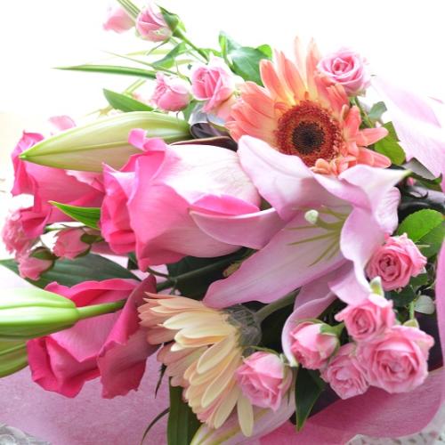 �v�`�ґ�ȃu�[�P�@SilentPink�@�i�o���ƃ����̉ԑ��j�s���N�n�@�a�����A�����L�O���A���j���A�h�V�̓�