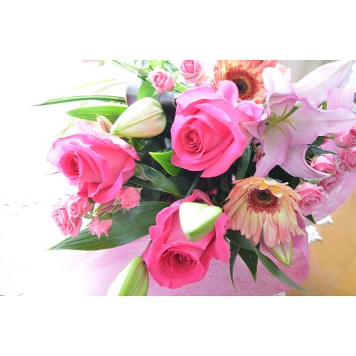�v�`�ґ�ȃu�[�P�@SilentPink�@�i�o���ƃ����̉ԑ��j�s���N�n�@�a�����A�����L�O���A���j���A�h�V�̓�4