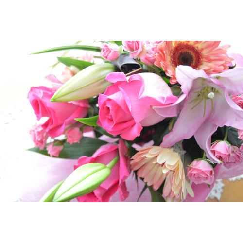 �v�`�ґ�ȃu�[�P�@SilentPink�@�i�o���ƃ����̉ԑ��j�s���N�n�@�a�����A�����L�O���A���j���A�h�V�̓�5