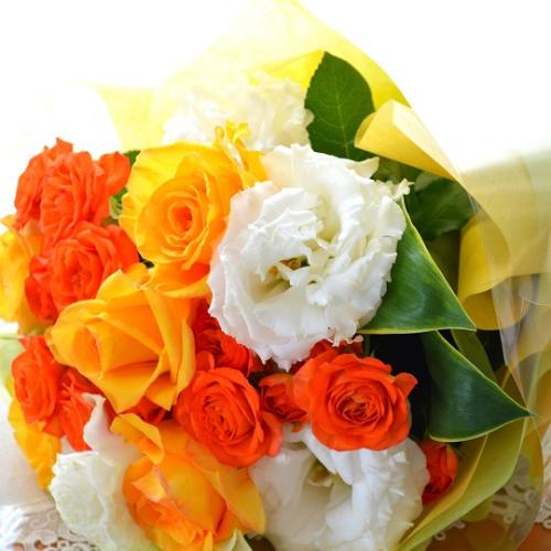 �v�`�ґ�ȃu�[�P�@VitaminBouquet�@�i�o���ƃK�[�x���̉ԑ��jMix�J���[ �a�����A�����L�O���A���j���A�����}�i���ʁA���}�j�A�ސE�j���A���\��