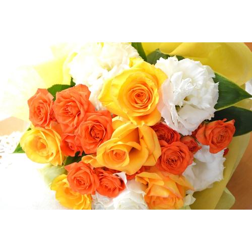 �v�`�ґ�ȃu�[�P�@VitaminBouquet�@�i�o���ƃK�[�x���̉ԑ��jMix�J���[ �a�����A�����L�O���A���j���A�����}�i���ʁA���}�j�A�ސE�j���A���\��3