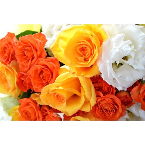�v�`�ґ�ȃu�[�P�@VitaminBouquet�@�i�o���ƃK�[�x���̉ԑ��jMix�J���[ �a�����A�����L�O���A���j���A�����}�i���ʁA���}�j�A�ސE�j���A���\��5