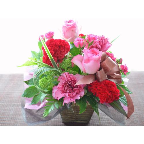 �L���[�g�ȃA�����W�@PinkSpice�@(�o���̃t�����[�A�����W�����g�j�s���N�n�@�a�����A�����L�O���A���j���A�h�V�̓�2