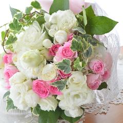 �v�`�ґ�ȃu�[�P�@WhiteEngel�@�i�g���R�L�L���E�̉ԑ��j���n�@�a�����A�����L�O���A���j���A�����}�i���ʁA���}�j�A�ސE�j���A���\��