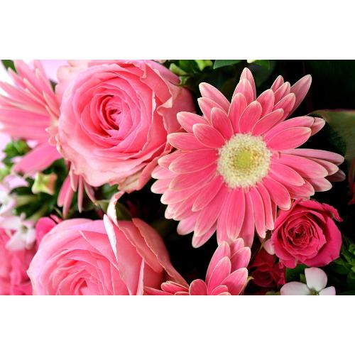 �L���[�g�ȃu�[�P�@PrincessPink�@�i�o���ƃK�[�x���̉ԑ��j�s���N�n�@�a�����A�����L�O���A���j���A�����}�i���ʁA���}�j�A�ސE�j���A���\��5