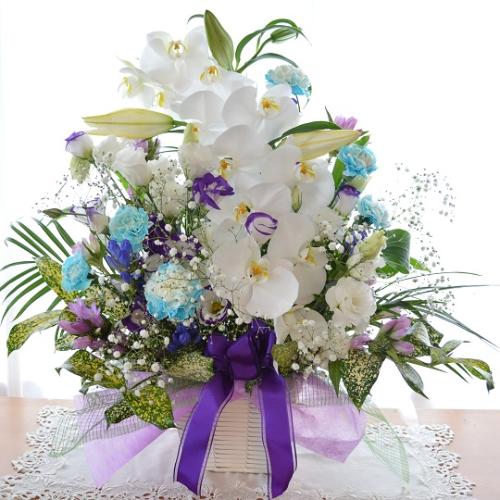 �������p�@�A�����W�����g�@�m�ԁ@���R�i�Ӓ����ƃ����̃t�����[�A�����W�����g�j�@���n�@�������A������݁A���~�A���ފ݁A�����A�@���A�l�\����A�����