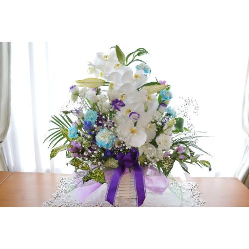 �������p�@�A�����W�����g�@�m�ԁ@���R�i�Ӓ����ƃ����̃t�����[�A�����W�����g�j�@���n�@�������A������݁A���~�A���ފ݁A�����A�@���A�l�\����A�����2