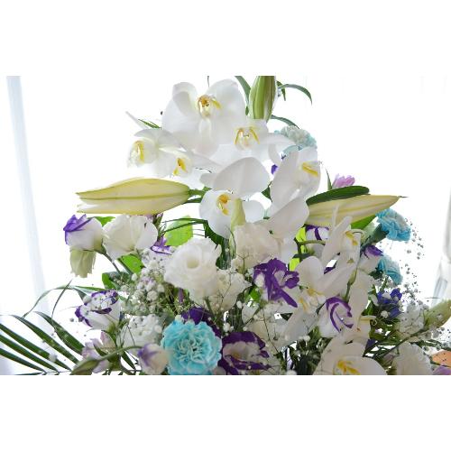 �������p�@�A�����W�����g�@�m�ԁ@���R�i�Ӓ����ƃ����̃t�����[�A�����W�����g�j�@���n�@�������A������݁A���~�A���ފ݁A�����A�@���A�l�\����A�����4