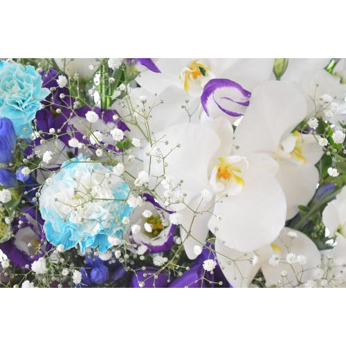 �������p�@�A�����W�����g�@�m�ԁ@���R�i�Ӓ����ƃ����̃t�����[�A�����W�����g�j�@���n�@�������A������݁A���~�A���ފ݁A�����A�@���A�l�\����A�����5