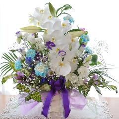 �������p�@�A�����W�����g�@�m�ԁ@���R�i�Ӓ����ƃ����̃t�����[�A�����W�����g�j�@���n�@�������A������݁A���~�A���ފ݁A�����A�@���A�l�\����A�����