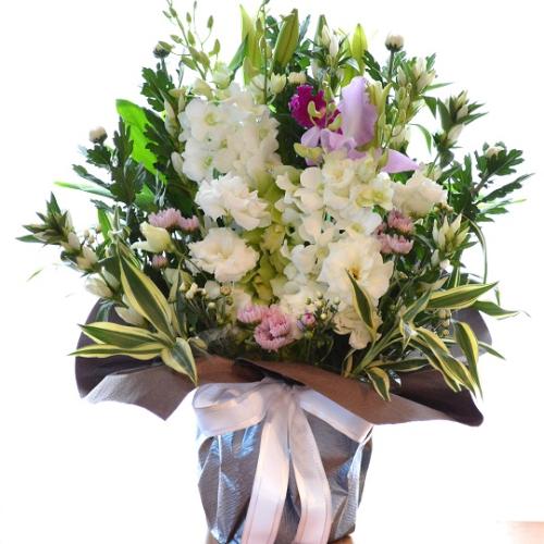 �������p�@�A�����W�����g�i�a�mMix�j�@�䍂�@�i�e�Ɨ��̃t�����[�A�����W�����g�j�@���n�@�������A������݁A���~�A���ފ݁A�����A�@���A�l�\����A�����