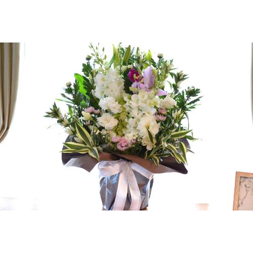 �������p�@�A�����W�����g�i�a�mMix�j�@�䍂�@�i�e�Ɨ��̃t�����[�A�����W�����g�j�@���n�@�������A������݁A���~�A���ފ݁A�����A�@���A�l�\����A�����2