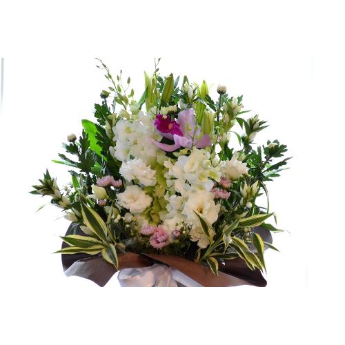 �������p�@�A�����W�����g�i�a�mMix�j�@�䍂�@�i�e�Ɨ��̃t�����[�A�����W�����g�j�@���n�@�������A������݁A���~�A���ފ݁A�����A�@���A�l�\����A�����3