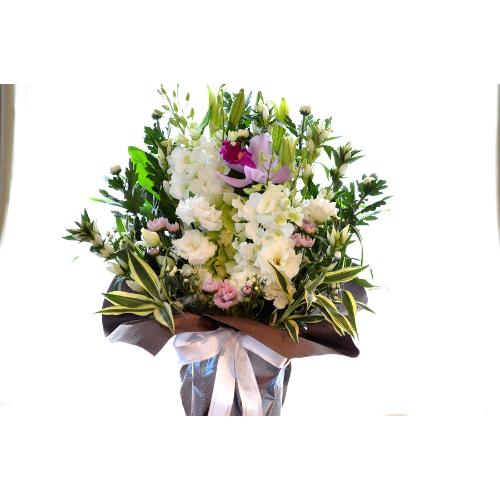 �������p�@�A�����W�����g�i�a�mMix�j�@�䍂�@�i�e�Ɨ��̃t�����[�A�����W�����g�j�@���n�@�������A������݁A���~�A���ފ݁A�����A�@���A�l�\����A�����5