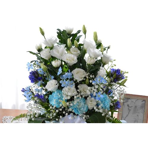 �������p�@�A�����W�����g�@�a�mMix�@����@�i�e�ƃg���R�L�L���E�̃t�����[�A�����W�����g�j ���n�@�������A������݁A���~�A���ފ݁A�����A�@���A���ԁA���ʖ�3