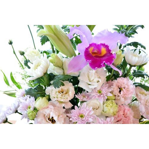 �������p�@�A�����W�����g�@���l�@�i�e�ƃ����̃t�����[�A�����W�����g�j�@���n�@�������A������݁A���~�A���ފ݁A�����A�@���A���ԁA���ʖ�A���ʎ��A���ʂ��5