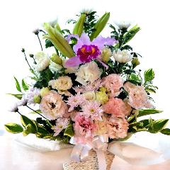 �������p�@�A�����W�����g�@���l�@�i�e�ƃ����̃t�����[�A�����W�����g�j�@���n�@�������A������݁A���~�A���ފ݁A�����A�@���A���ԁA���ʖ�A���ʎ��A���ʂ��