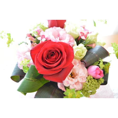 �L���[�g�ȃA�����W�����g�@RedSpot�@(�o���̃t�����[�A�����W�����g�j�@���b�h�n�@�a�����A�����L�O���A���j���A���\��A�R���T�[�g�A���C�u5