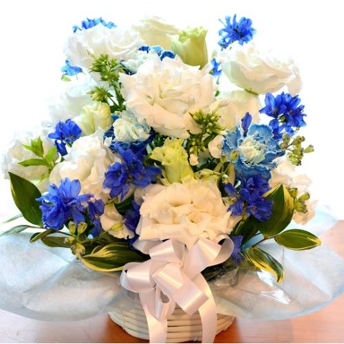 �v�`�ґ�ȃu�[�P�@WhiteEngel�@�i�g���R�L�L���E�̉ԑ��j���n�@�a�����A�����L�O���A���j���A�����}�i���ʁA���}�j�A�ސE�j���A���\��1