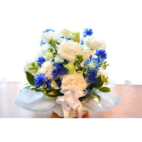 �v�`�ґ�ȃu�[�P�@WhiteEngel�@�i�g���R�L�L���E�̉ԑ��j���n�@�a�����A�����L�O���A���j���A�����}�i���ʁA���}�j�A�ސE�j���A���\��2