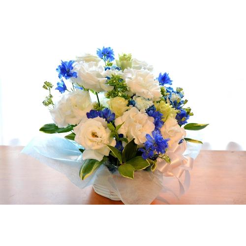 �v�`�ґ�ȃu�[�P�@WhiteEngel�@�i�g���R�L�L���E�̉ԑ��j���n�@�a�����A�����L�O���A���j���A�����}�i���ʁA���}�j�A�ސE�j���A���\��3
