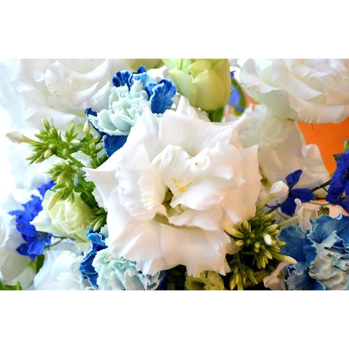 �v�`�ґ�ȃu�[�P�@WhiteEngel�@�i�g���R�L�L���E�̉ԑ��j���n�@�a�����A�����L�O���A���j���A�����}�i���ʁA���}�j�A�ސE�j���A���\��5