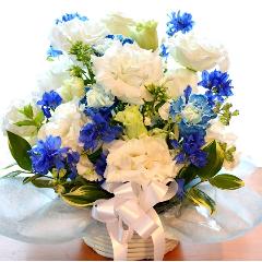 �������p�@�A�����W�����g�@�����@�i�g���R�L�L���E�̃t�����[�A�����W�����g�j�@���n�@�������A������݁A���~�A���ފ݁A�����A�@���A���ԁA���ʖ�A���ʎ�