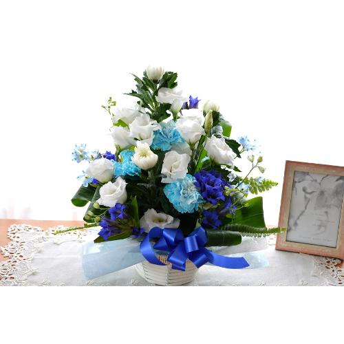 �������p�@�A�����W�����g�@�a�mMix�@����@�i�e�ƃg���R�L�L���E�̃t�����[�A�����W�������g�j�@���n�@�������A������݁A���~�A���ފ݁A�����A�@���A����2