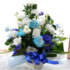 �������p�@�A�����W�����g�@�a�mMix�@����@�i�e�ƃg���R�L�L���E�̃t�����[�A�����W�������g�j�@���n�@�������A������݁A���~�A���ފ݁A�����A�@���A����