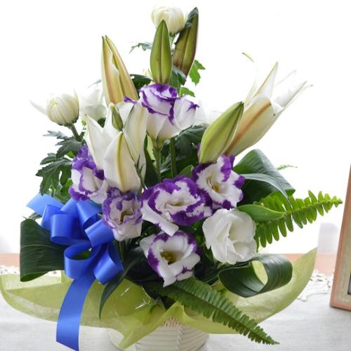 �������p�@�A�����W�����g�@�a�mMix�@�|�с@�i�����Ƌe�̃t�����[�A�����W�����g�j�@���n�@�������A������݁A���~�A���ފ݁A�����A�@���A���ԁA���ʖ�A���ʎ�