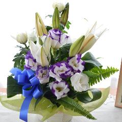 �������p�@�A�����W�����g�@�a�mMix�@�|�с@�i�����Ƌe�̃t�����[�A�����W�����g�j�@���n�@�������A������݁A���~�A���ފ݁A�����A�@���A���ԁA���ʖ�A���ʎ�